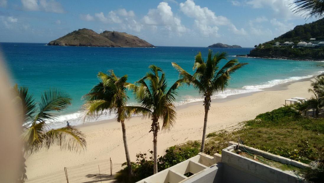 DALLERA VA IN VACANZA AI CARAIBI !